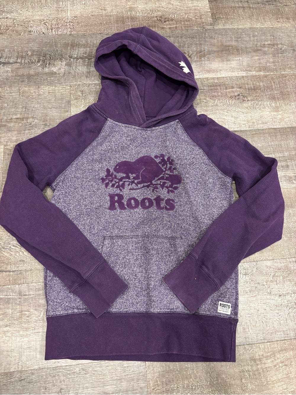 Roots Purple Heathered & Solid Purple Kids Hoodie